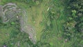 The Bali Terrace Rice Fields Royalty Free Stock Photo