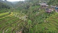 The Bali Terrace Rice Fields