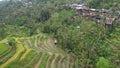 The Bali Terrace Rice Fields