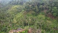 The Bali Terrace Rice Fields