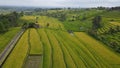 The Bali Terrace Rice Fields Royalty Free Stock Photo