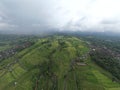 The Bali Terrace Rice Fields