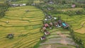 The Bali Terrace Rice Fields Royalty Free Stock Photo