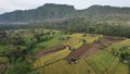 The Bali Terrace Rice Fields