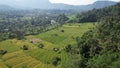 The Bali Terrace Rice Fields Royalty Free Stock Photo