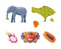 Bali Traditional Cultural Attribute with Elephant, Fruit, Mask and Map Vector Illustration Set