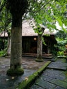 Bali tropical style boutique hotel