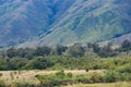 The Baliem Valley is a high mountain valley at the foot of the mountain Trikora Crest in western New Guinea, Indonesia.