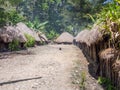 Baliem Valley, West Papua Royalty Free Stock Photo