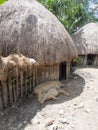 Baliem Valley, West Papua Royalty Free Stock Photo