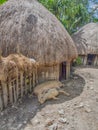 Baliem Valley, West Papua Royalty Free Stock Photo