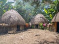 Baliem Valley, West Papua Royalty Free Stock Photo