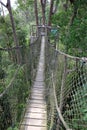 BALIKPAPAN/INDONESIA - FEBRUARY 7, 2016: Rain forest canopy walkway or suspension bridge between two rain forest trees Royalty Free Stock Photo