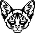 Balinese cat Vector, Peeking Cats, Cats Breed, Pet Vector portrait, Cats Head