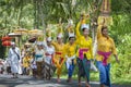 Balinese Ceremonial Procession Royalty Free Stock Photo