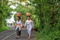 Balinese country road Royalty Free Stock Photo