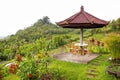 Balinese garden Royalty Free Stock Photo