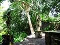 Balinese idols, spirits in Bali