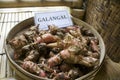 Balinese Luwak Coffee Galangal