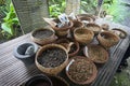 Balinese Luwak Coffee