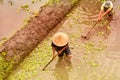 Balinese men in the mud of rice field around Candidasa Royalty Free Stock Photo