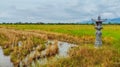 Balinese monument with white sky in harvested rice fields Royalty Free Stock Photo