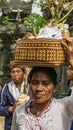 Balinese women carry offerings on their heads Royalty Free Stock Photo