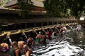 Balinese people praying in holy spring water of sacred pool at Pura Tirta Empul Temple, Tampaksiring, BALI, INDONESIA - Royalty Free Stock Photo