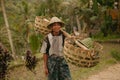 Balinese rice farmer in Tegallalang