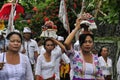 Balinese spiritual ceremony ritual Royalty Free Stock Photo