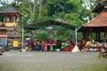 Balinese woman preparing for doing daily hindu offering is a tradition, Monkey forest, Bali, Indonesia, 10.08.2018 Royalty Free Stock Photo