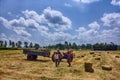 Baling hay Royalty Free Stock Photo