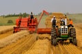 Baling straw and harvesting wheat Royalty Free Stock Photo