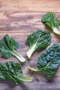 Balkan cuisine. Blitva  chard leaves  - popular leafy vegetables. Copy space Royalty Free Stock Photo