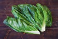 Balkan cuisine. Blitva chard leaves - popular leafy vegetables Royalty Free Stock Photo