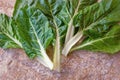 Balkan cuisine. Blitva  chard leaves  - popular leafy vegetables Royalty Free Stock Photo