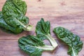 Balkan cuisine. Blitva chard leaves - popular leafy vegetables. Rustic background, copy space Royalty Free Stock Photo