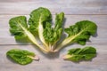 Balkan cuisine. Blitva  chard leaves  - popular leafy vegetable Royalty Free Stock Photo