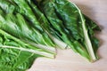 Balkan cuisine. Blitva  chard leaves  - popular leafy vegetables Royalty Free Stock Photo