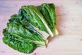 Balkan cuisine. Blitva  chard leaves  - popular leafy vegetables. Rustic background, free space for text Royalty Free Stock Photo