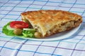 Balkan cuisine. Burek with meat