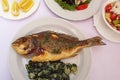 Grilled fish ( sea bream ) with green leafy vegetables Royalty Free Stock Photo