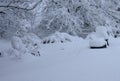 Sunbed under snow and snowy garden