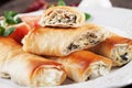 Balkans phyllo pastry pie Royalty Free Stock Photo