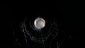 Ball of Baseball breaking Pane of Glass against Black Background