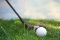 Ball and driver Royalty Free Stock Photo