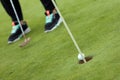 The ball falling in golf hole Royalty Free Stock Photo