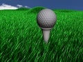 Ball of golf on lawn