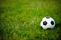 The ball on the grass in the green field on the football field ready for the penalty. And start playing football seriously