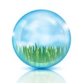 Ball with green grass and blue sky